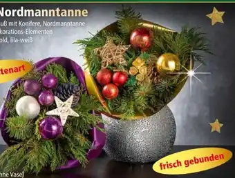 Norma Strauß aus Nordmanntanne Angebot