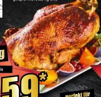 Norma Frische Ente Angebot