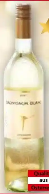 Norma Sauvignon blanc Angebot