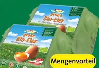 Spar Bio-eier Angebot