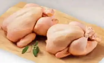 Billa Hendl duo Angebot