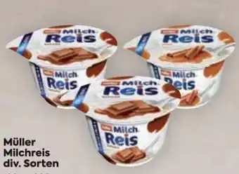 Billa Milchreis Angebot