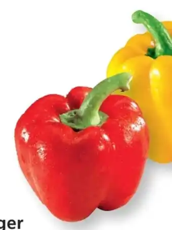SPAR Gourmet Paprika Angebot