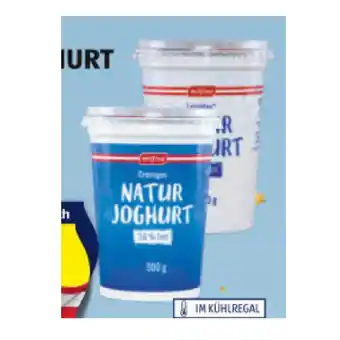 Hofer Milfina cremiges naturjoghurt versch. sorten hofer 500 gramm 1 becher Angebot