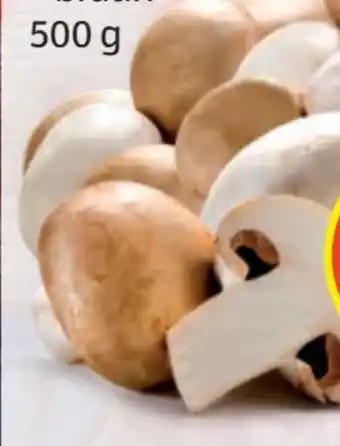 Hofer Champignons Angebot