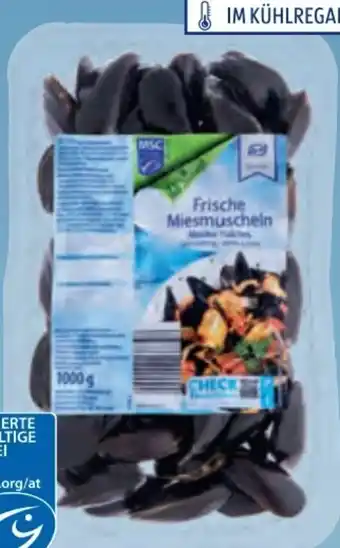 Hofer Miesmuscheln Angebot