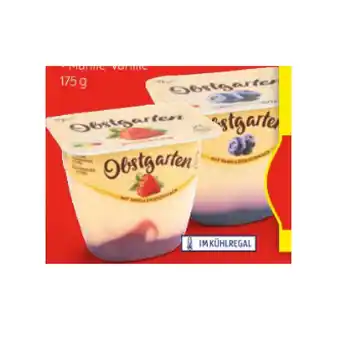 Hofer Danone obstgarten div. sorten hofer 175 gramm 1 becher Angebot