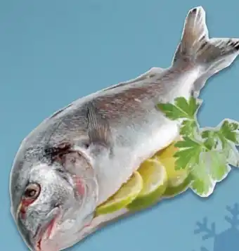 Metro Goldbrasse Angebot