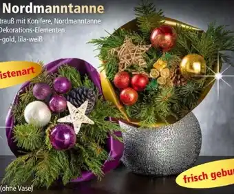 Norma Strauß aus nordmanntanne Angebot