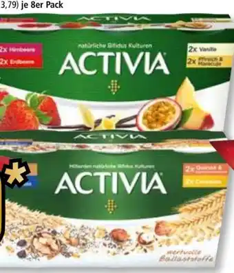 Norma Activia joghurt Angebot