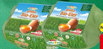 Spar Bio-Eier Angebot