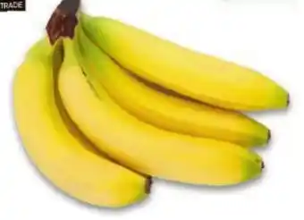 Metro BIO Bananen Angebot