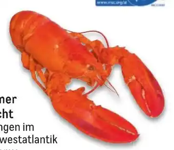 Metro Hummer gekocht Angebot
