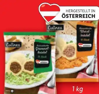 Lidl Pikante knödel Angebot