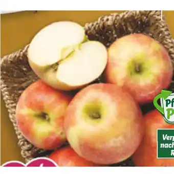 Lidl Pink lady apfel lidl 1 kilogramm Angebot