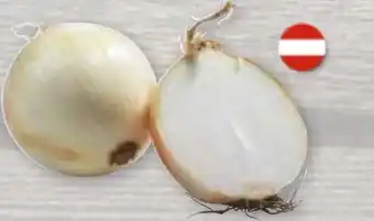 Eurogast Grissemann Zwiebeln Angebot