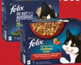 Maximarkt Felix katzennahrung Angebot