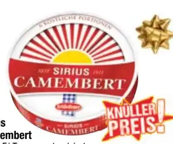 Maximarkt Sirius camembert Angebot