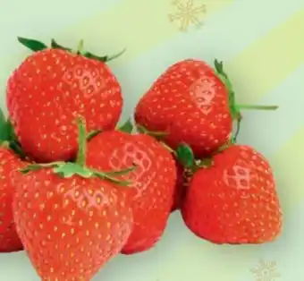 PENNY Erdbeeren Angebot