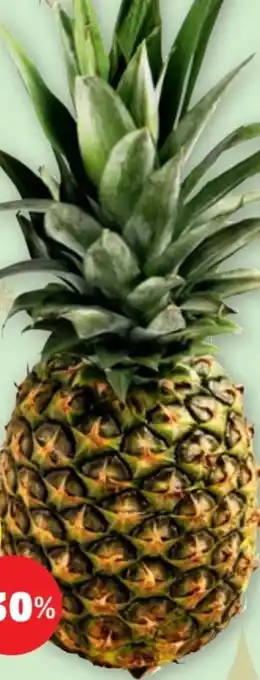 PENNY Ananas Angebot