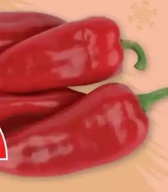 PENNY Spitzpaprika Angebot