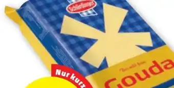 PENNY Gouda Angebot