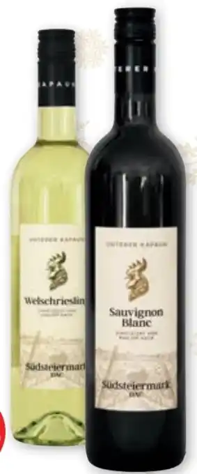 PENNY Sauvignon blanc Angebot