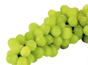 Transgourmet Trauben Angebot