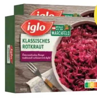 MPreis Rotkraut Angebot