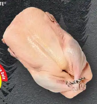 PENNY UNGARISCHE ENTE Angebot