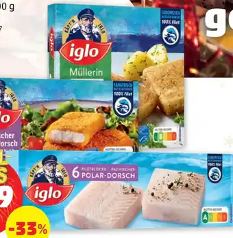 PENNY IGLO POLARDORSCH Angebot