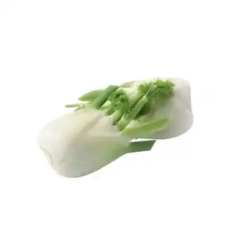 SPAR Gourmet Spar natur pur aromatischer bio-fenchel spar gourmet 1 kilogramm Angebot