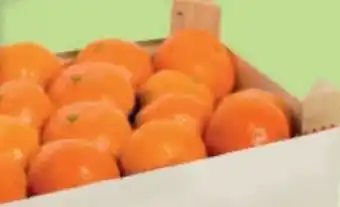 MPreis Clementinen pitufo Angebot