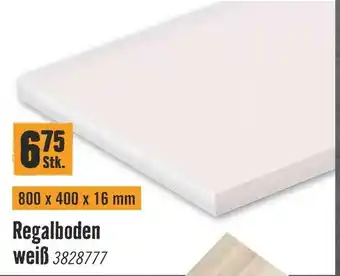 Hornbach Regalboden weiß Angebot