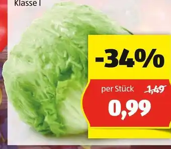 Hofer HOFER MARKTPLATZ EISBERGSALAT Angebot