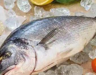 Interspar Goldbrasse Angebot