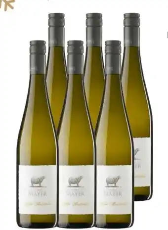 Interspar Gelber muskateller Angebot