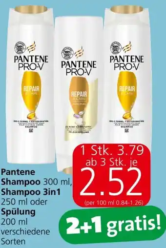 Eurospar Shampoo Angebot