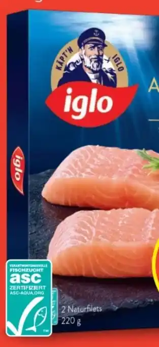 Hofer Atlantik lachs Angebot