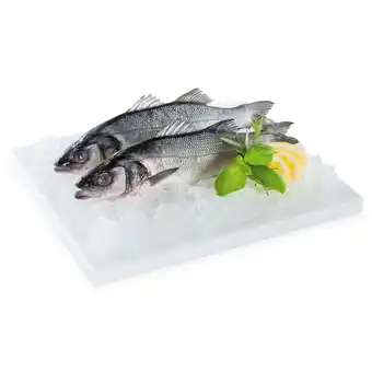 Hofer Almare seafood wolfsbarsch hofer 1 kilogramm Angebot