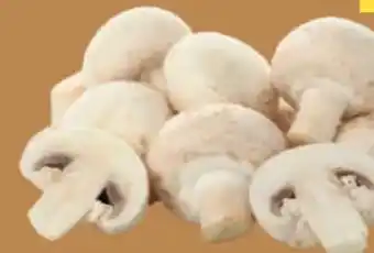 T&G Champignons Angebot