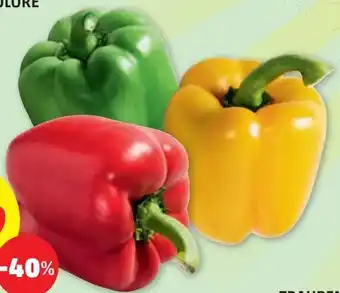PENNY PAPRIKA TRICOLORE Angebot