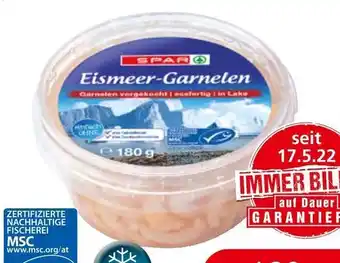 Spar SPAR MSC Eismeergarnelen Angebot