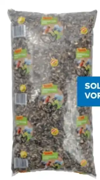 T&G Sonnenblumenkerne Angebot
