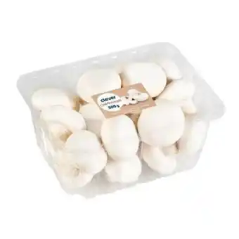 Billa Champignons Angebot
