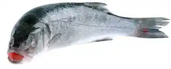 Transgourmet Wolfsbarsch Angebot