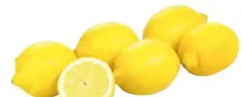 Transgourmet Zitronen Angebot