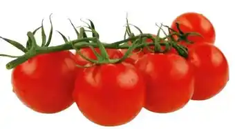 Transgourmet Cherry rispentomaten Angebot