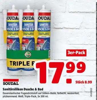 Sanitärsilikon Dusche & Bad