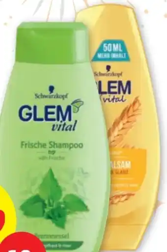 PENNY Glem vital shampoo Angebot